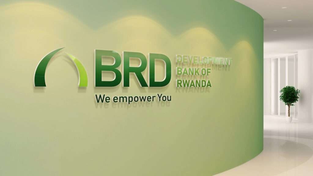 BRD Brand Guideline 2