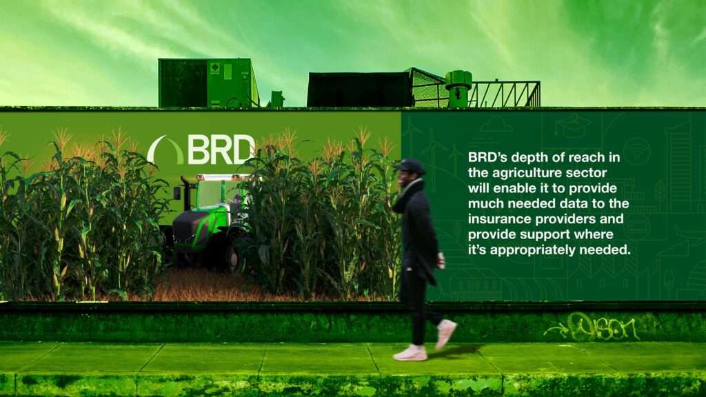 BRD Brand Guideline 8