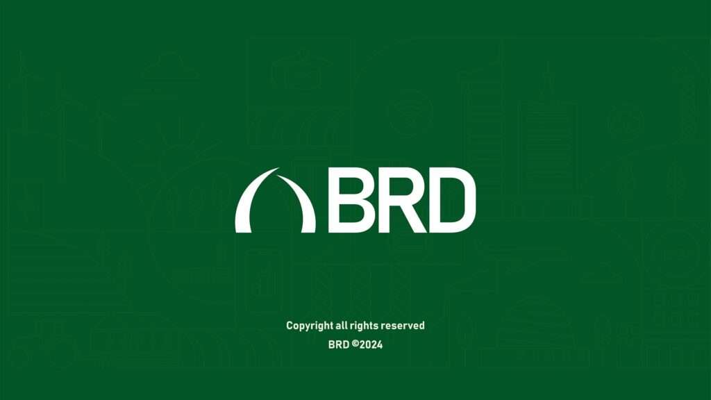 BRD Brand Guideline 29