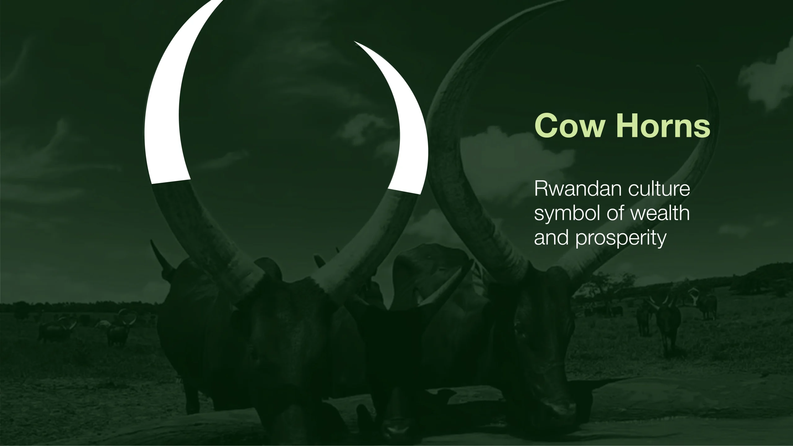 Development Bank Of Rwanda 6